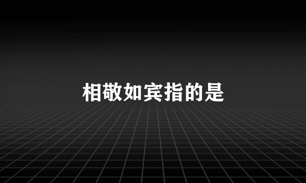 相敬如宾指的是