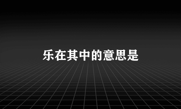 乐在其中的意思是