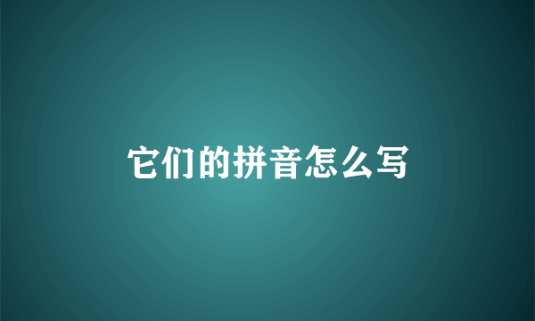 它们的拼音怎么写