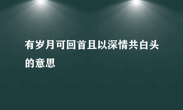 有岁月可回首且以深情共白头的意思
