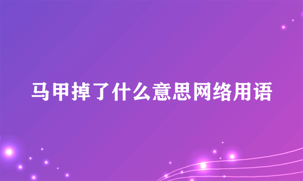 马甲掉了什么意思网络用语