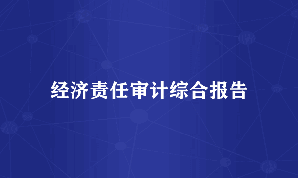 经济责任审计综合报告