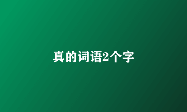 真的词语2个字