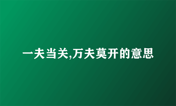 一夫当关,万夫莫开的意思