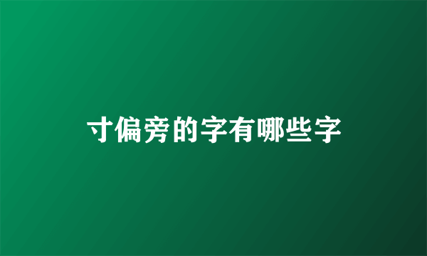 寸偏旁的字有哪些字