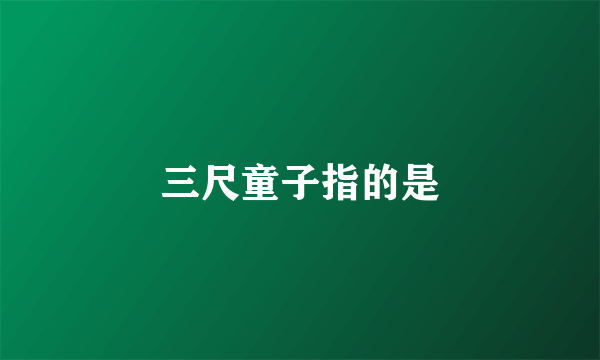 三尺童子指的是