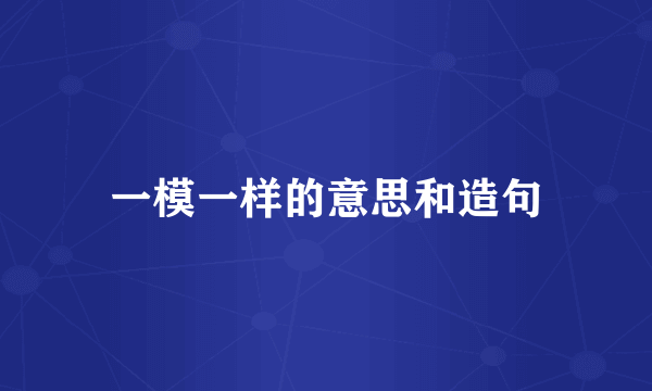 一模一样的意思和造句