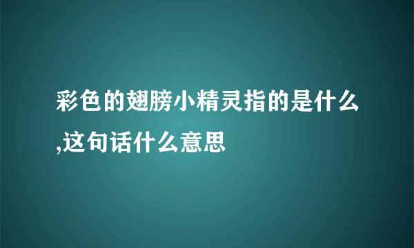 彩色的翅膀小精灵指的是什么,这句话什么意思