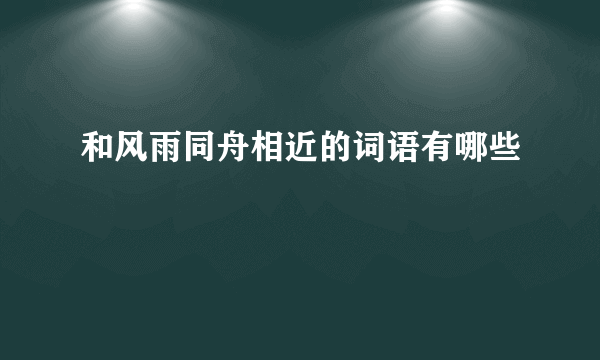 和风雨同舟相近的词语有哪些