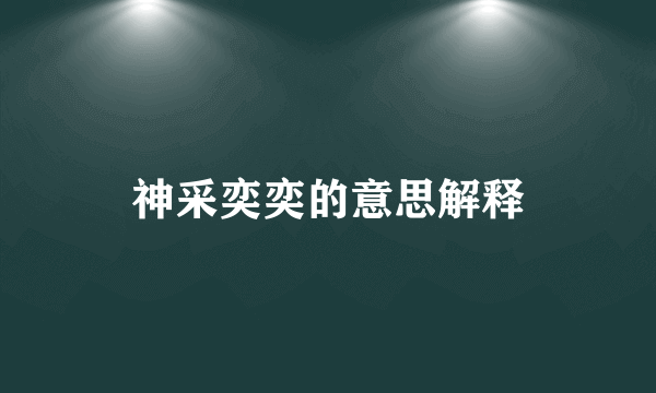 神采奕奕的意思解释