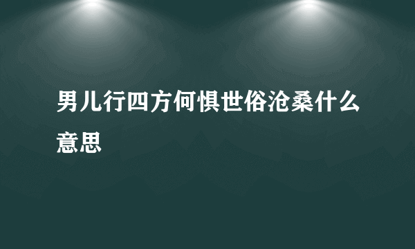 男儿行四方何惧世俗沧桑什么意思