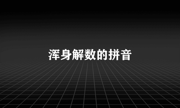 浑身解数的拼音