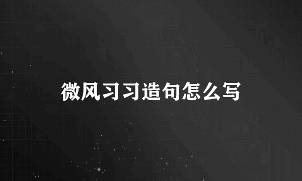 微风习习造句怎么写