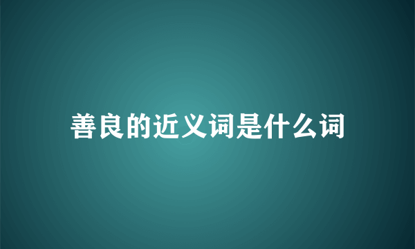 善良的近义词是什么词