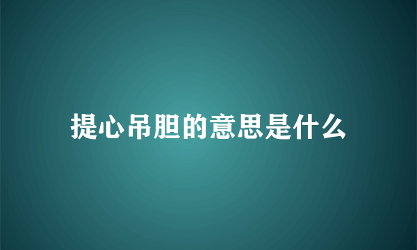 提心吊胆的意思是什么