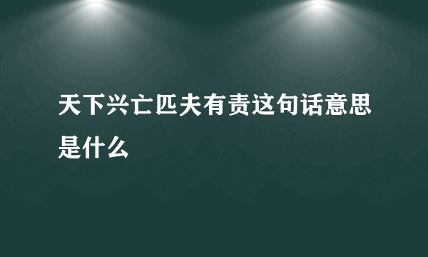 天下兴亡匹夫有责这句话意思是什么