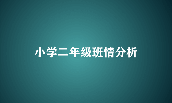 小学二年级班情分析