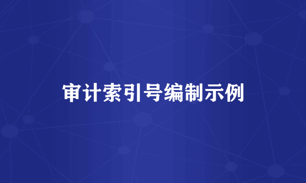 审计索引号编制示例