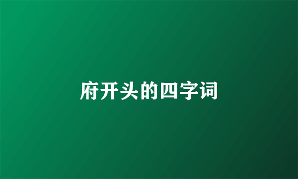 府开头的四字词