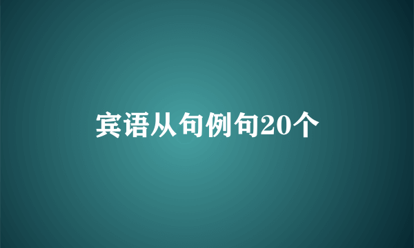 宾语从句例句20个