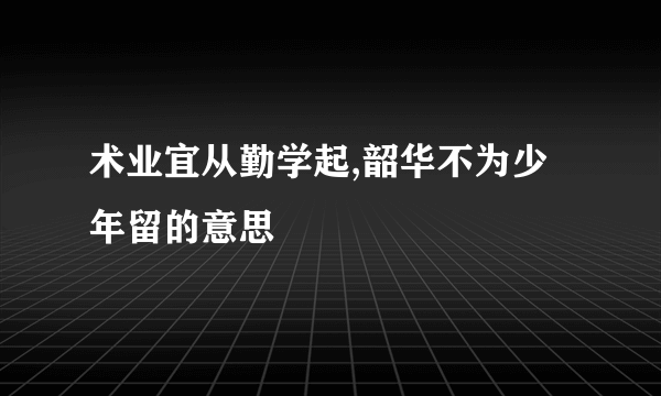术业宜从勤学起,韶华不为少年留的意思