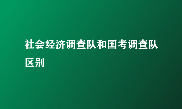 社会经济调查队和国考调查队区别