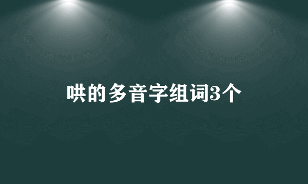 哄的多音字组词3个