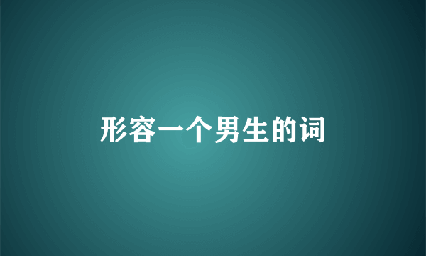 形容一个男生的词