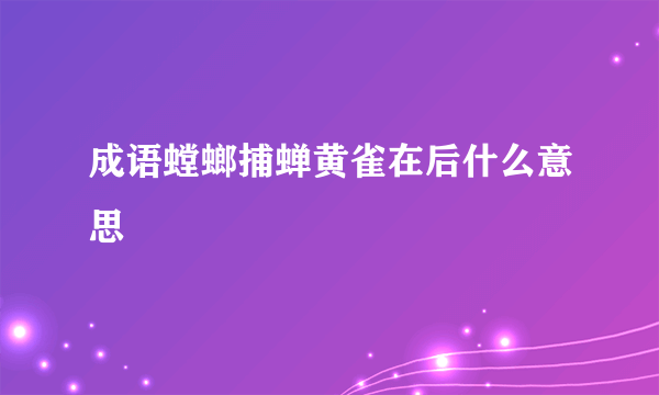 成语螳螂捕蝉黄雀在后什么意思
