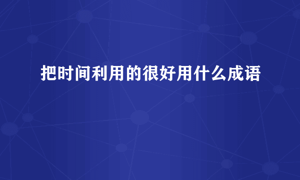 把时间利用的很好用什么成语