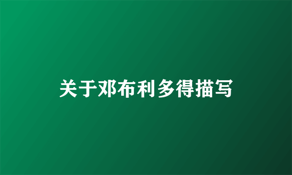 关于邓布利多得描写