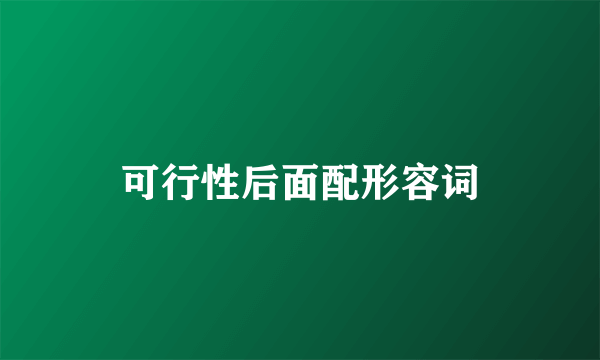 可行性后面配形容词