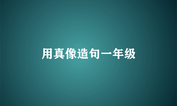 用真像造句一年级