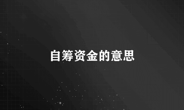 自筹资金的意思