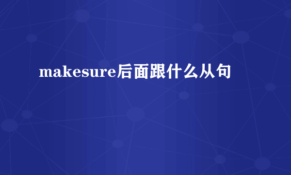 makesure后面跟什么从句