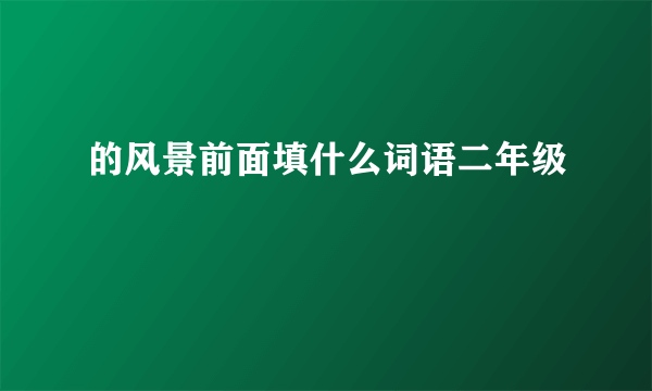 的风景前面填什么词语二年级