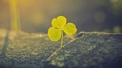 内心平淡安静的网名有哪些?