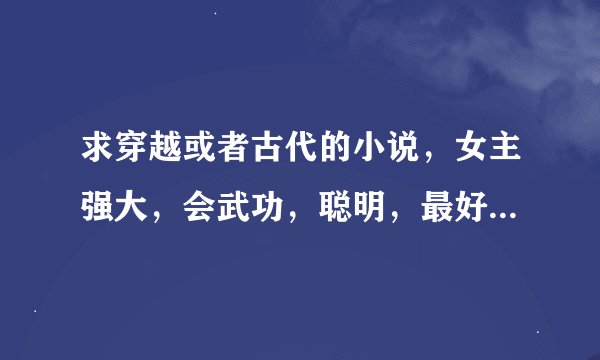求穿越或者古代的小说，女主强大，会武功，聪明，最好别人都不知道，男主最好腹黑，强势点，和女主斗法