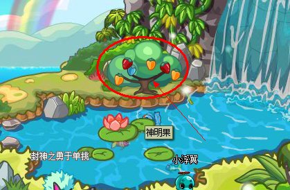 卡布西游神明果在哪