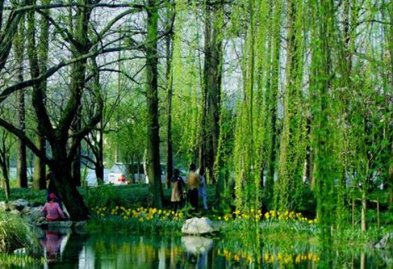 怎么赞美春天的美？