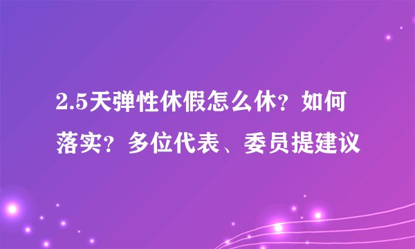 2.5天弹性休假怎么休？如何落实？多位代表、委员提建议