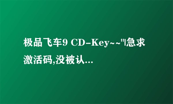 极品飞车9 CD-Key~~