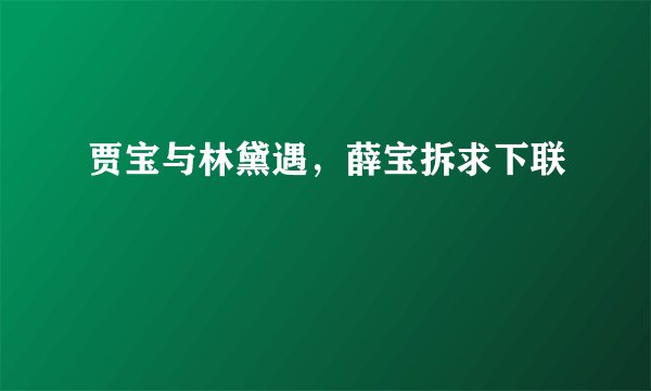贾宝与林黛遇，薛宝拆求下联