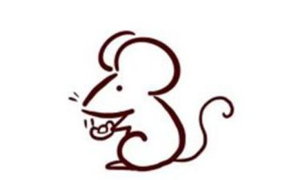 一大一小包括什么生肖！什么数字！什么动物