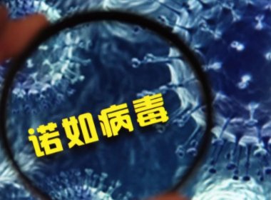 广东一高校已有315名学生发烧腹泻被隔离，学生们腹泻的原因是什么？