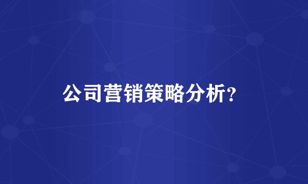 公司营销策略分析？