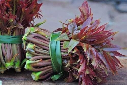 肝火旺盛导致经常长痘痘,应该怎么调理?