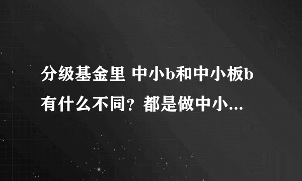 分级基金里 中小b和中小板b有什么不同？都是做中小板的吗？