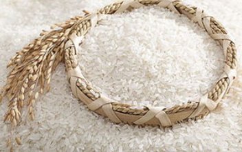 东北散装大米批发价格多少钱一吨