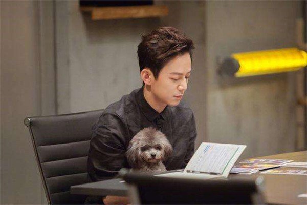 各大卫视主持人的工资差距到底有多大？